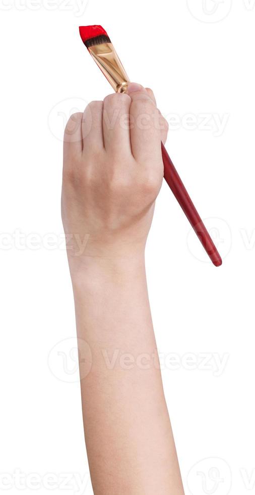hand holds art flat paintbrush with red paint photo