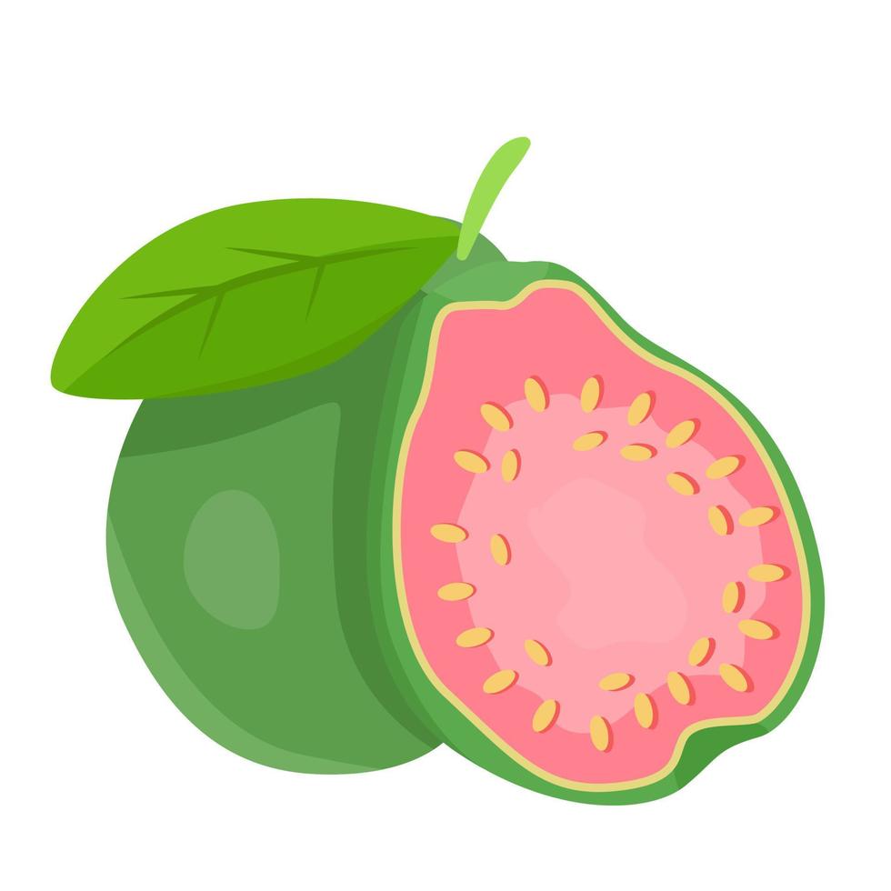 una hermosa guayaba de arte vector