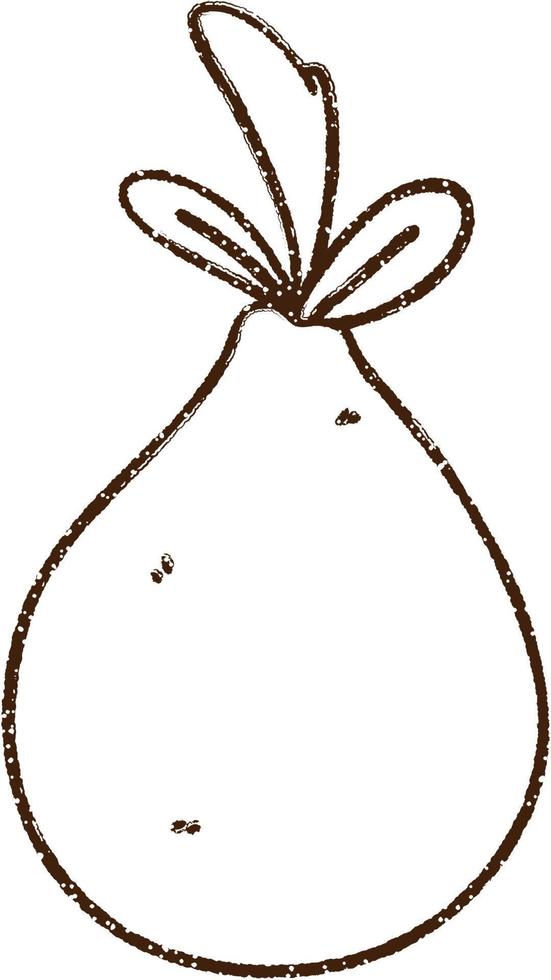 Pear Charcoal Drawing vector
