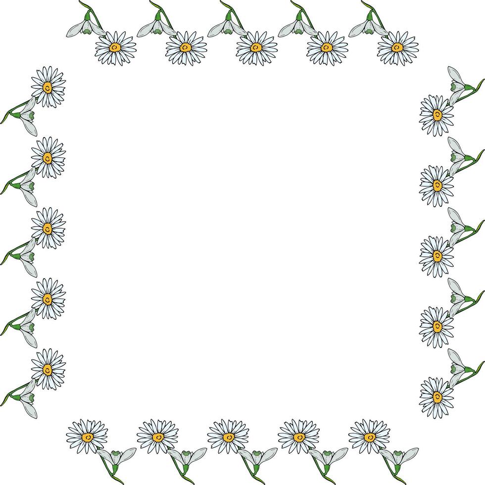 Square frame with snowdrops and chamomile on white background. Vector image.