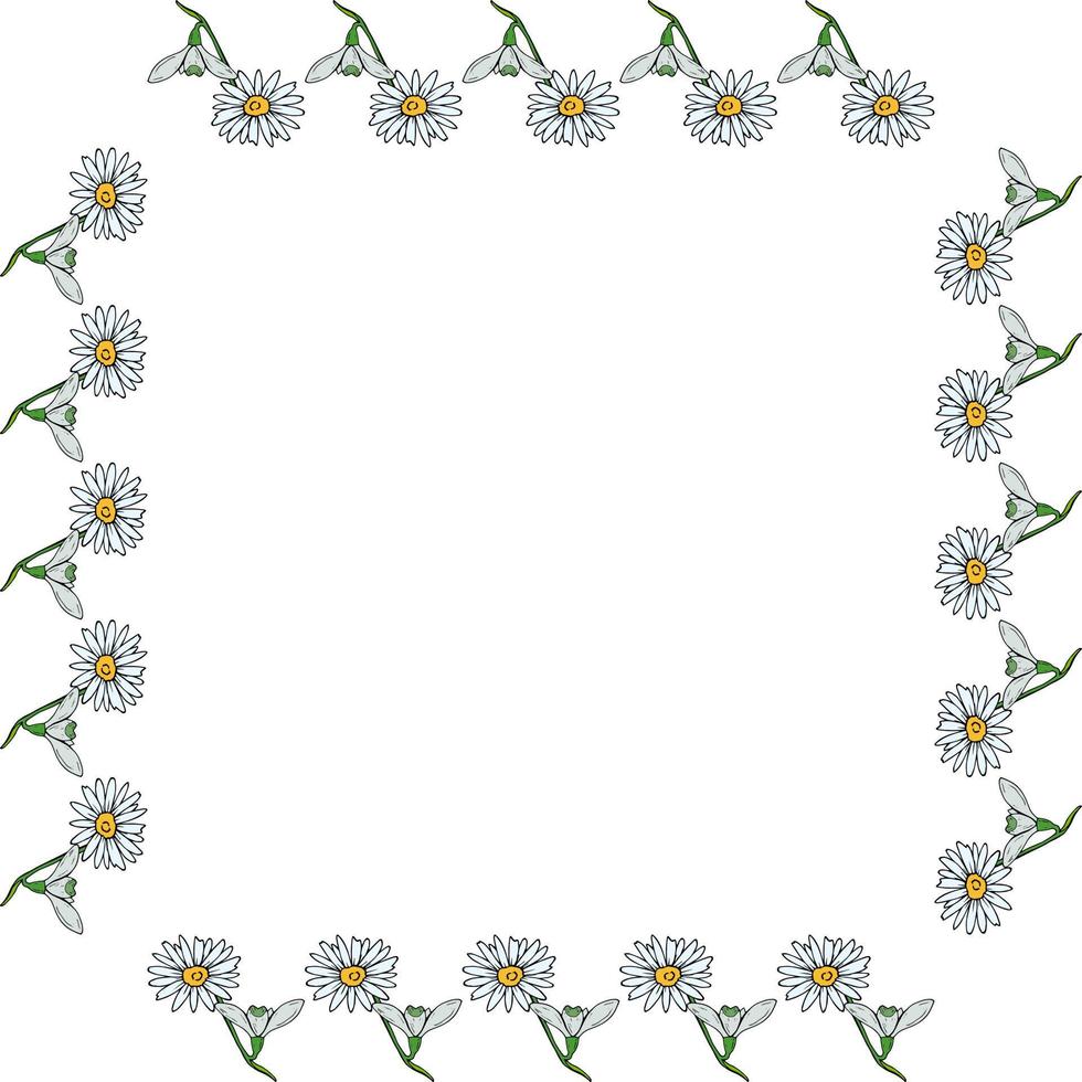 Square frame with snowdrops and chamomile on white background. Vector image.