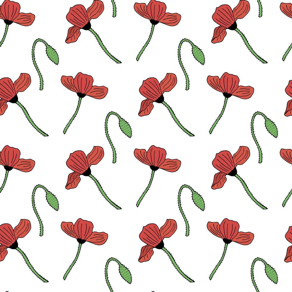Seamless pattern with poppies and poppy bud on white background. Vector image.
