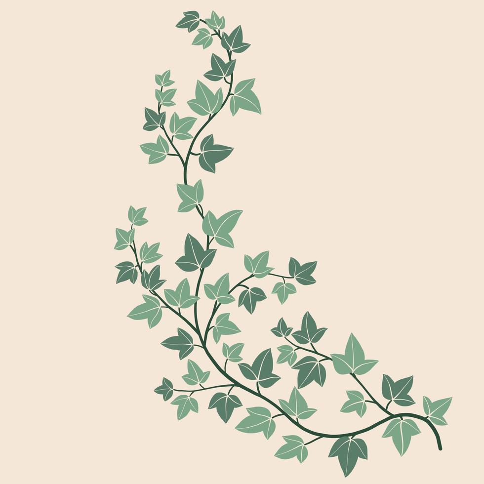 Simplicity ivy freehand drawing flat design. vector