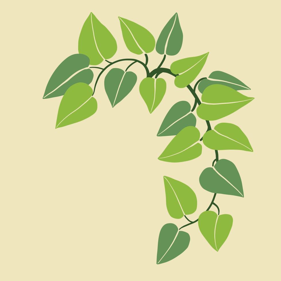 Simplicity ivy freehand drawing flat design. vector