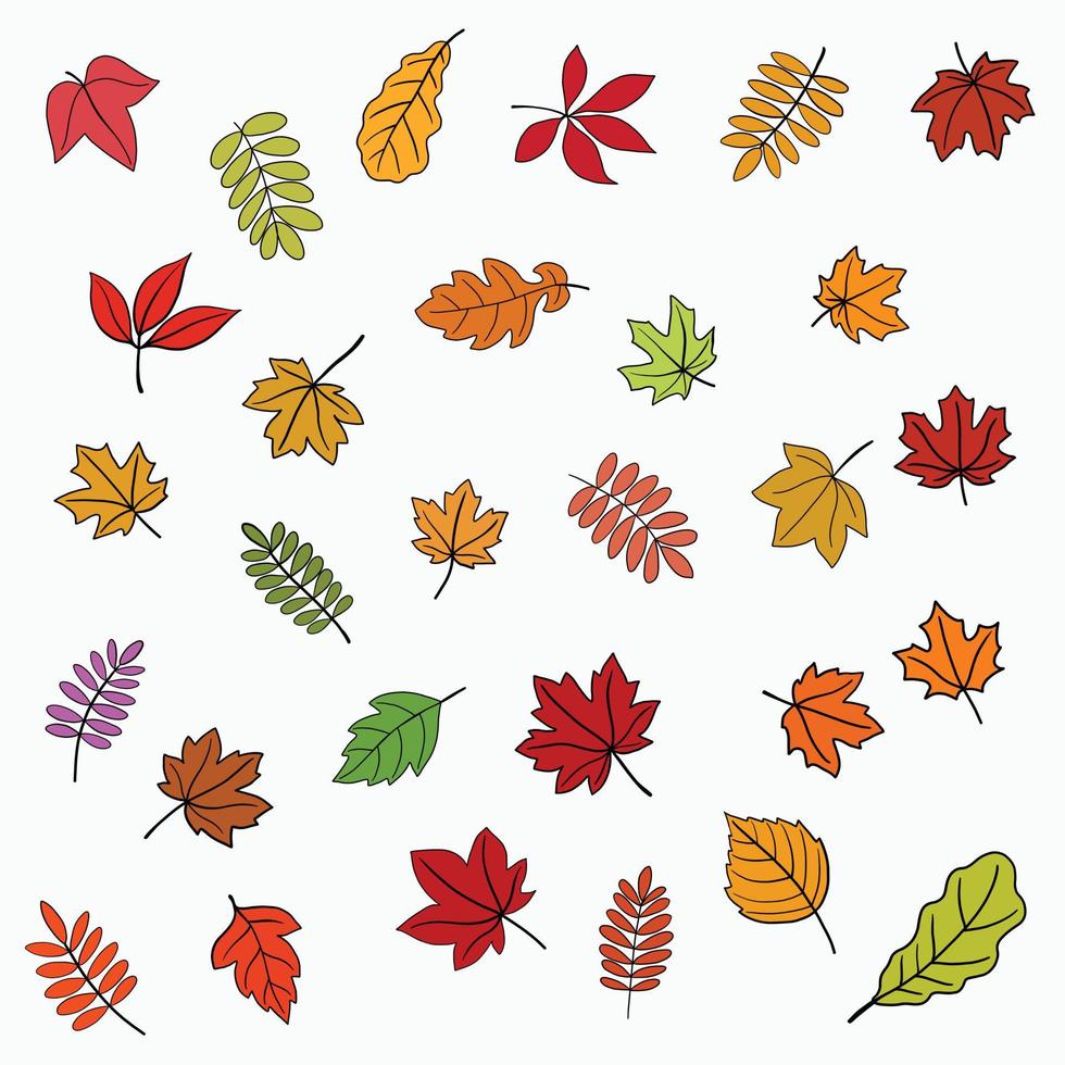 Simplicity maple freehand drawing flat design. vector