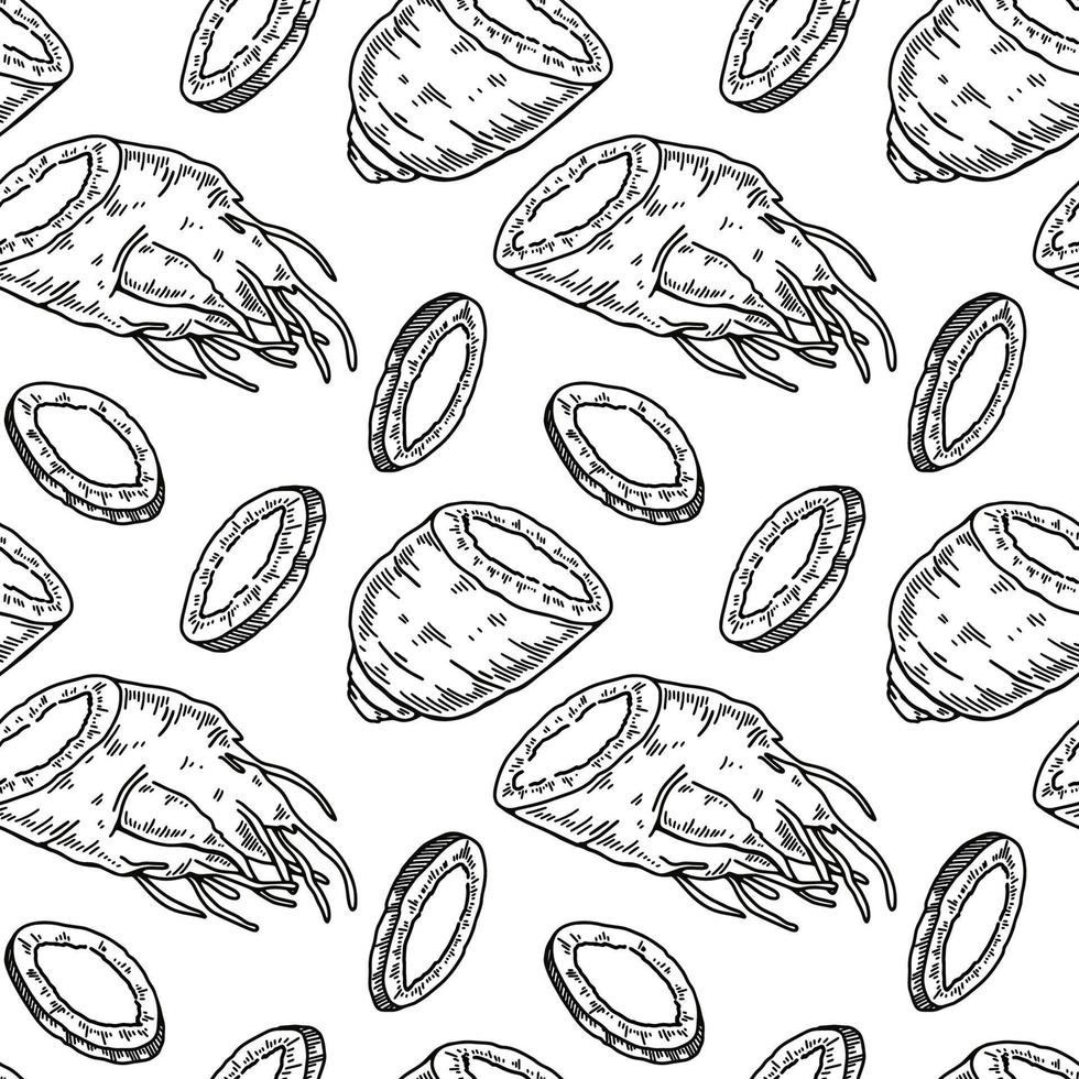 patrón sin costuras de ginseng dibujado a mano. ilustración vectorial en estilo boceto. fondo de plantas medicinales. diseño botánico vector