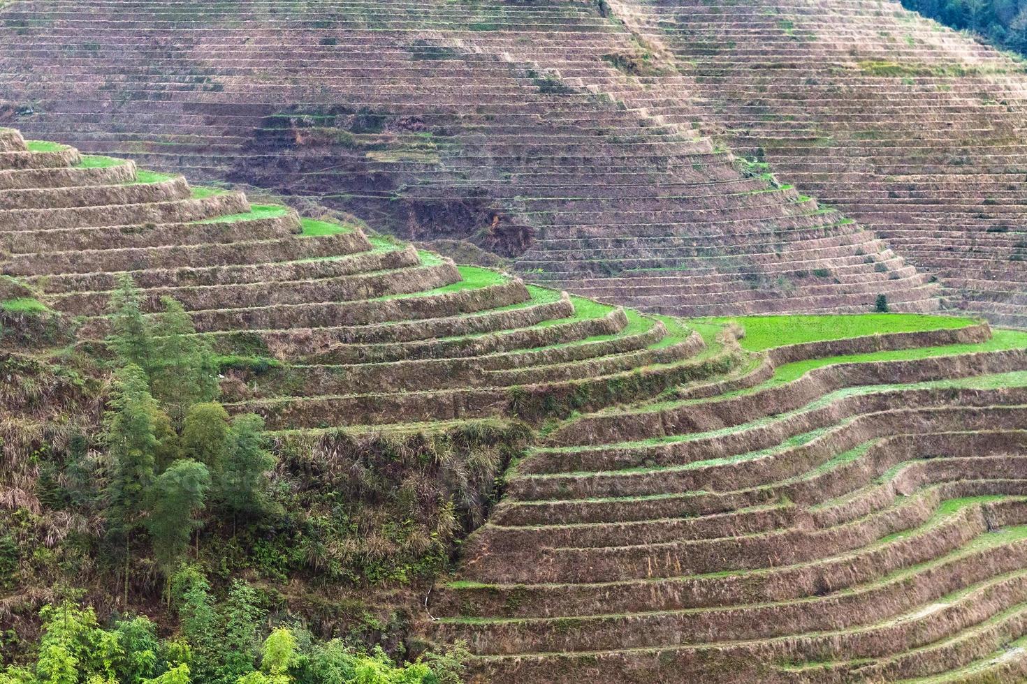 hill with terraced paddy in Dazhai village photo