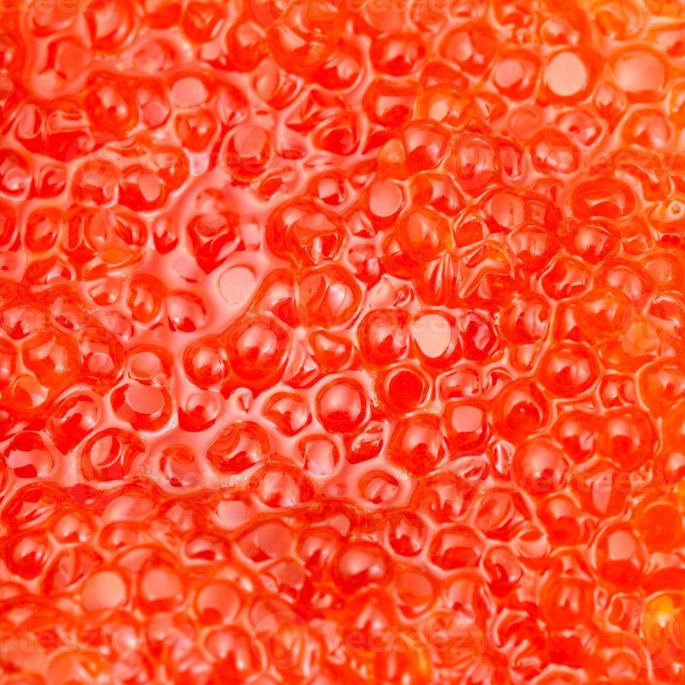 red salmon fish red caviar close up photo
