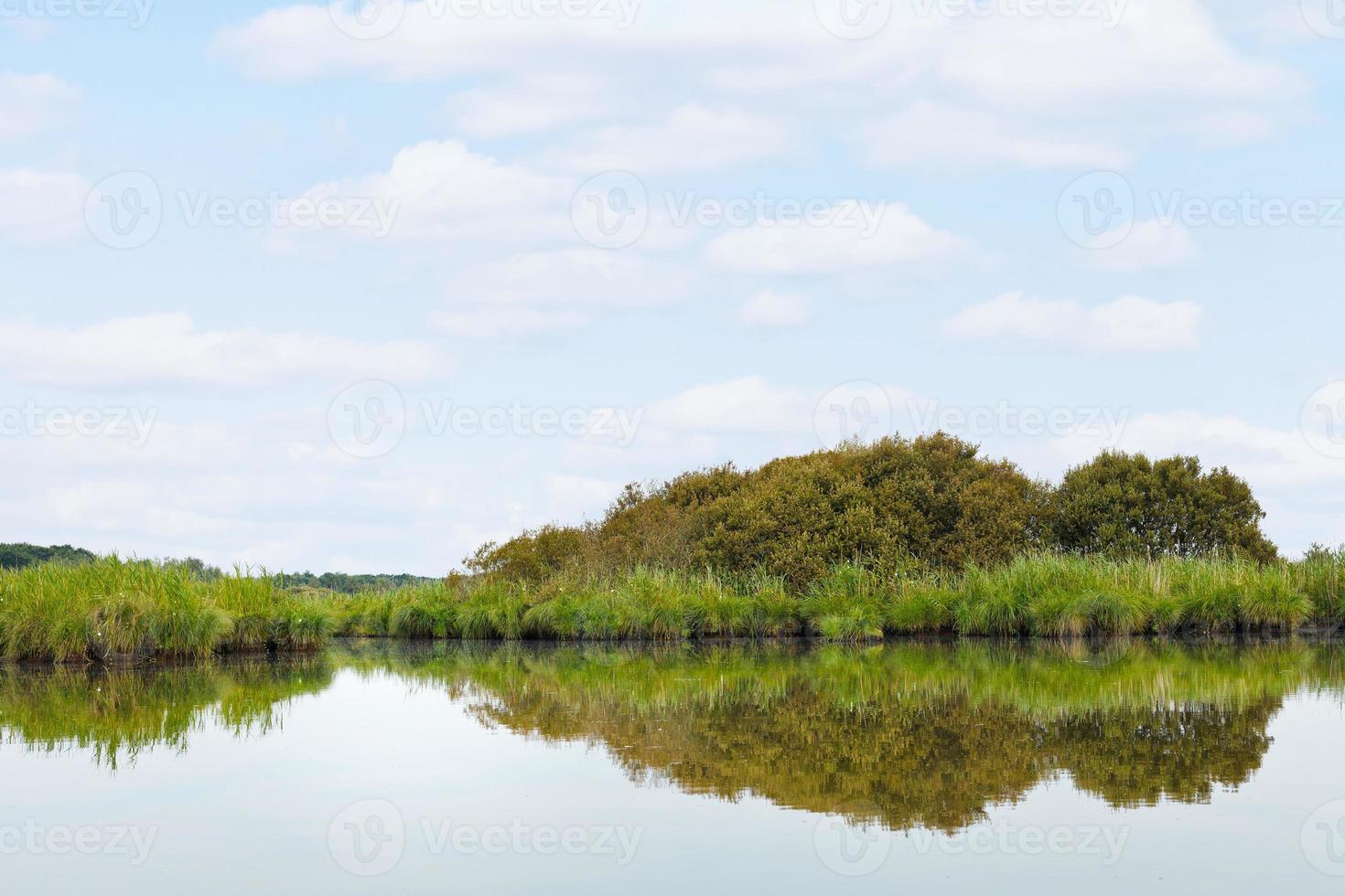 landscape of Briere Marsh in summer day, France photo