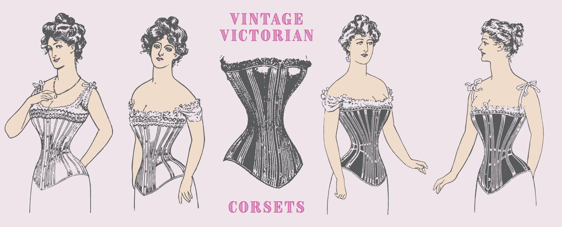 Vintage Victorian Corset set. Engraving vector. vector