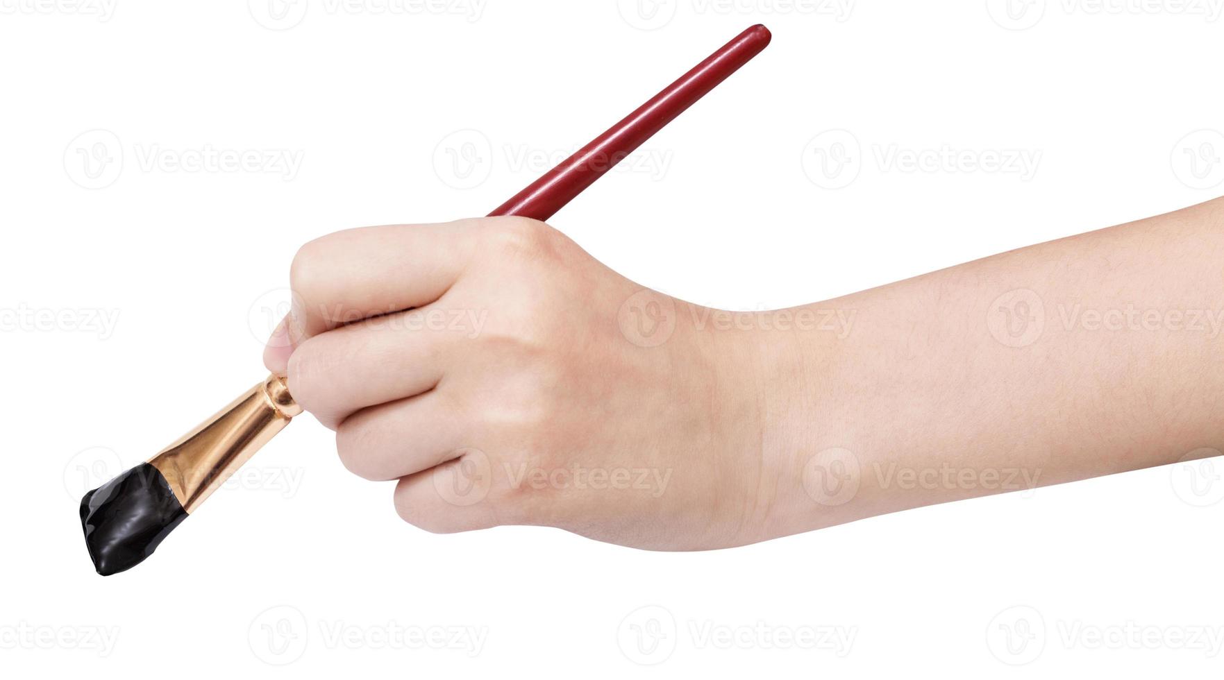 hand holds artistic flat paintbrush with black tip photo