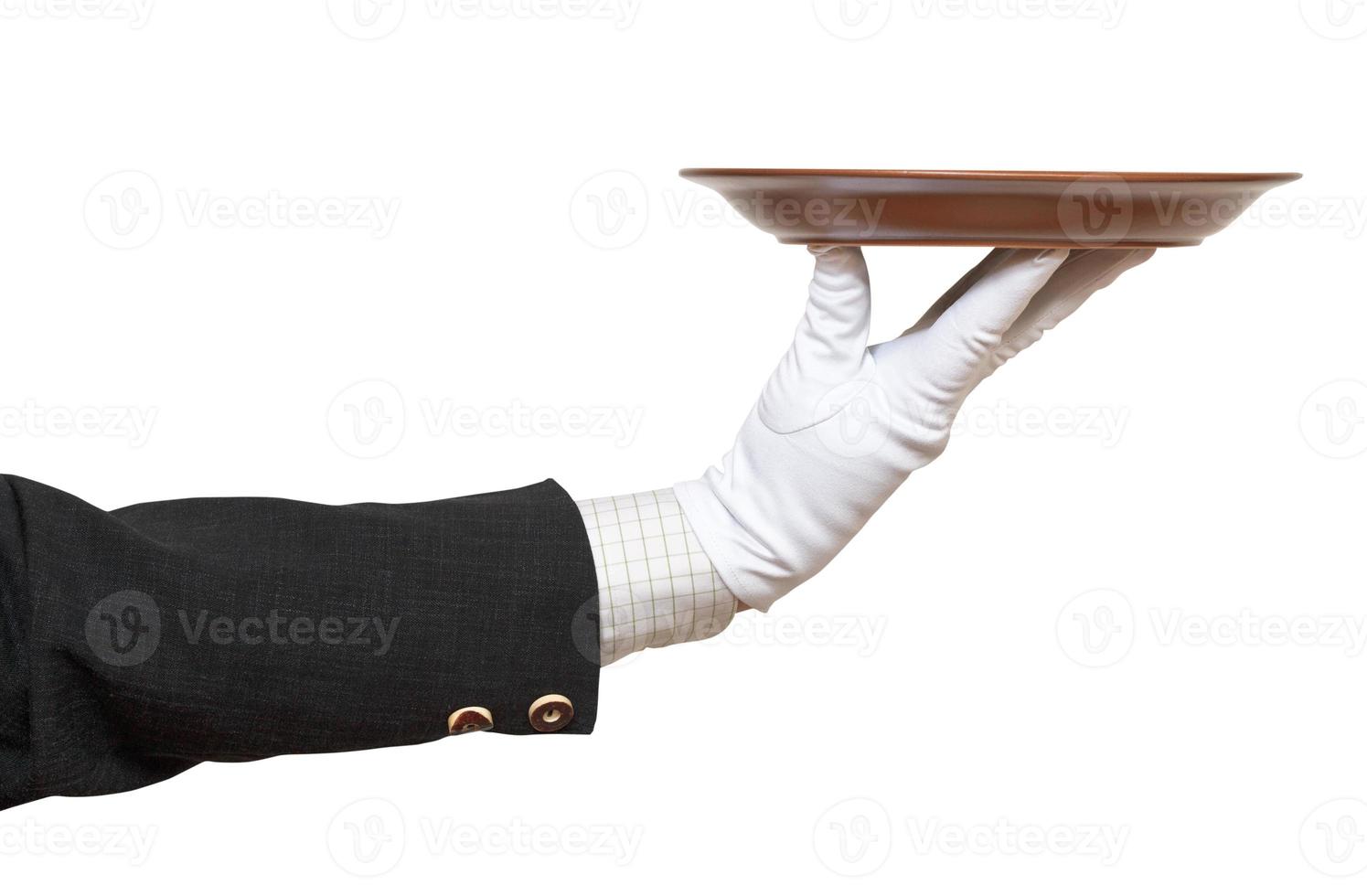 side view of hand in white glove with brown plate photo