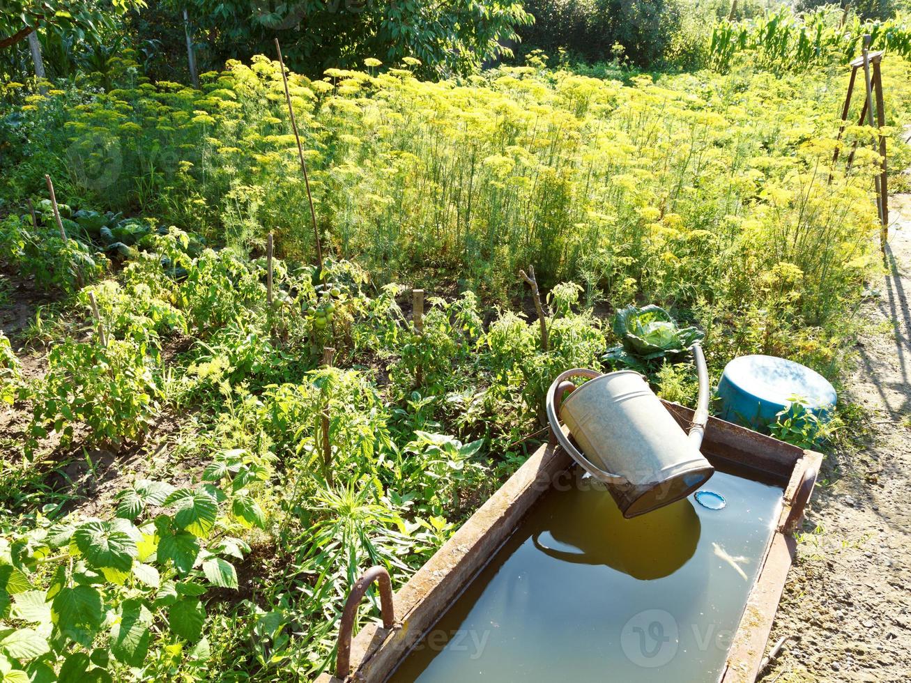 lavabo con agua para riego de jardines foto