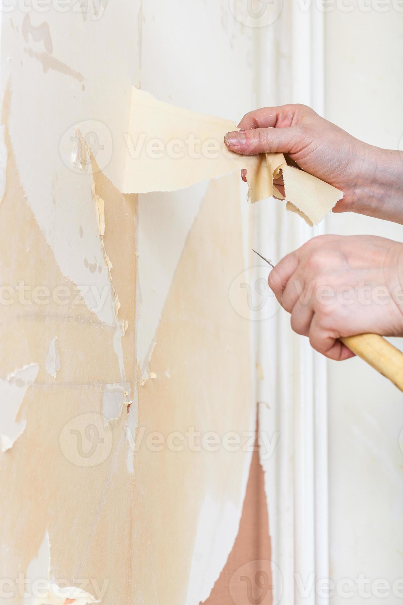 Removing of wallpaper backing from the wall 12258687 Stock Photo at Vecteezy