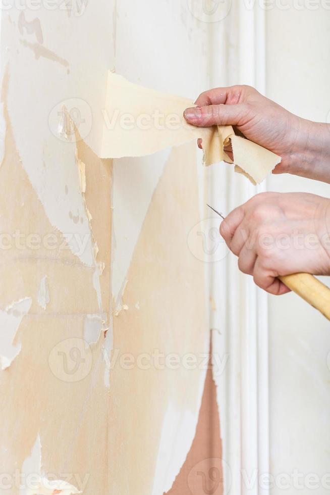Removing of wallpaper backing from the wall 12258687 Stock Photo at
