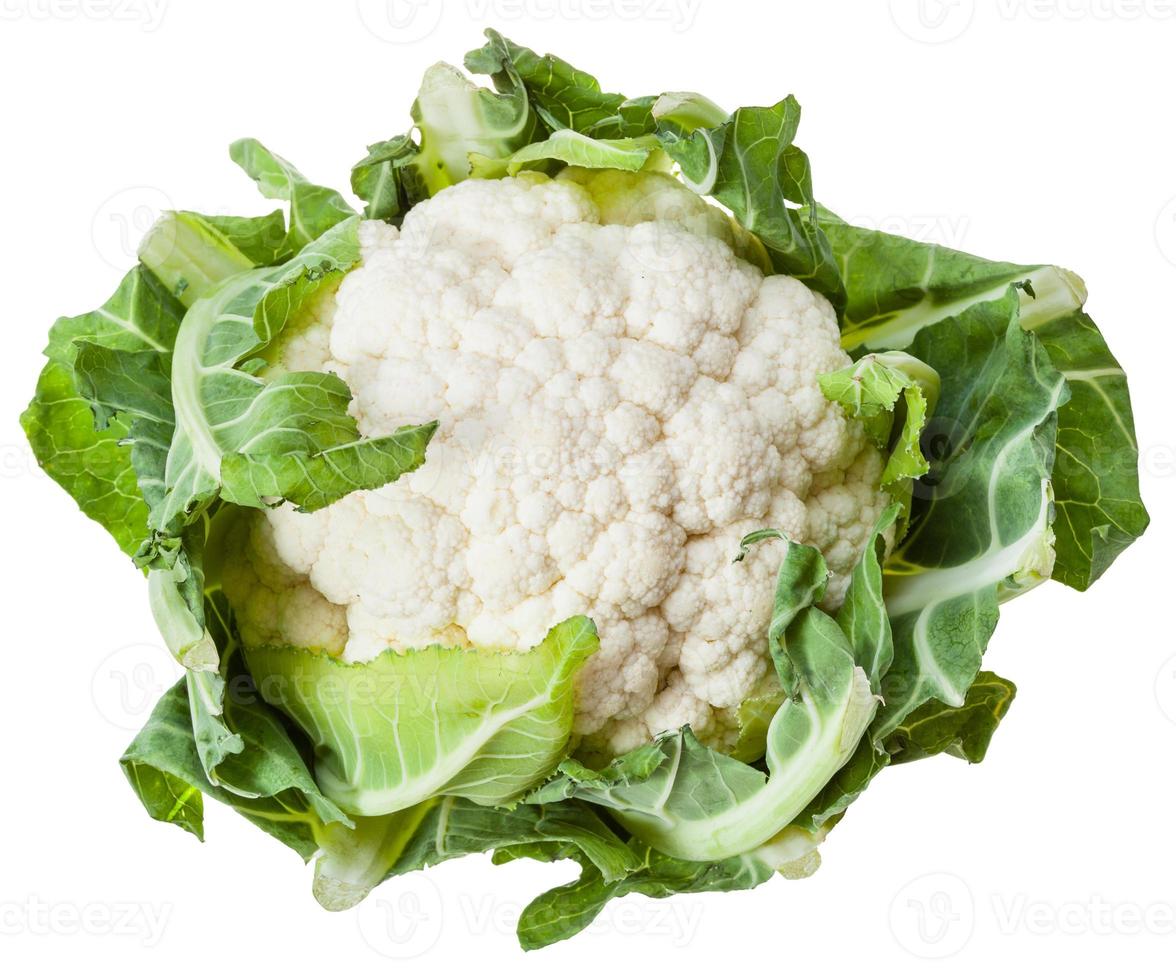 head of ripe cauliflower isolated on white photo