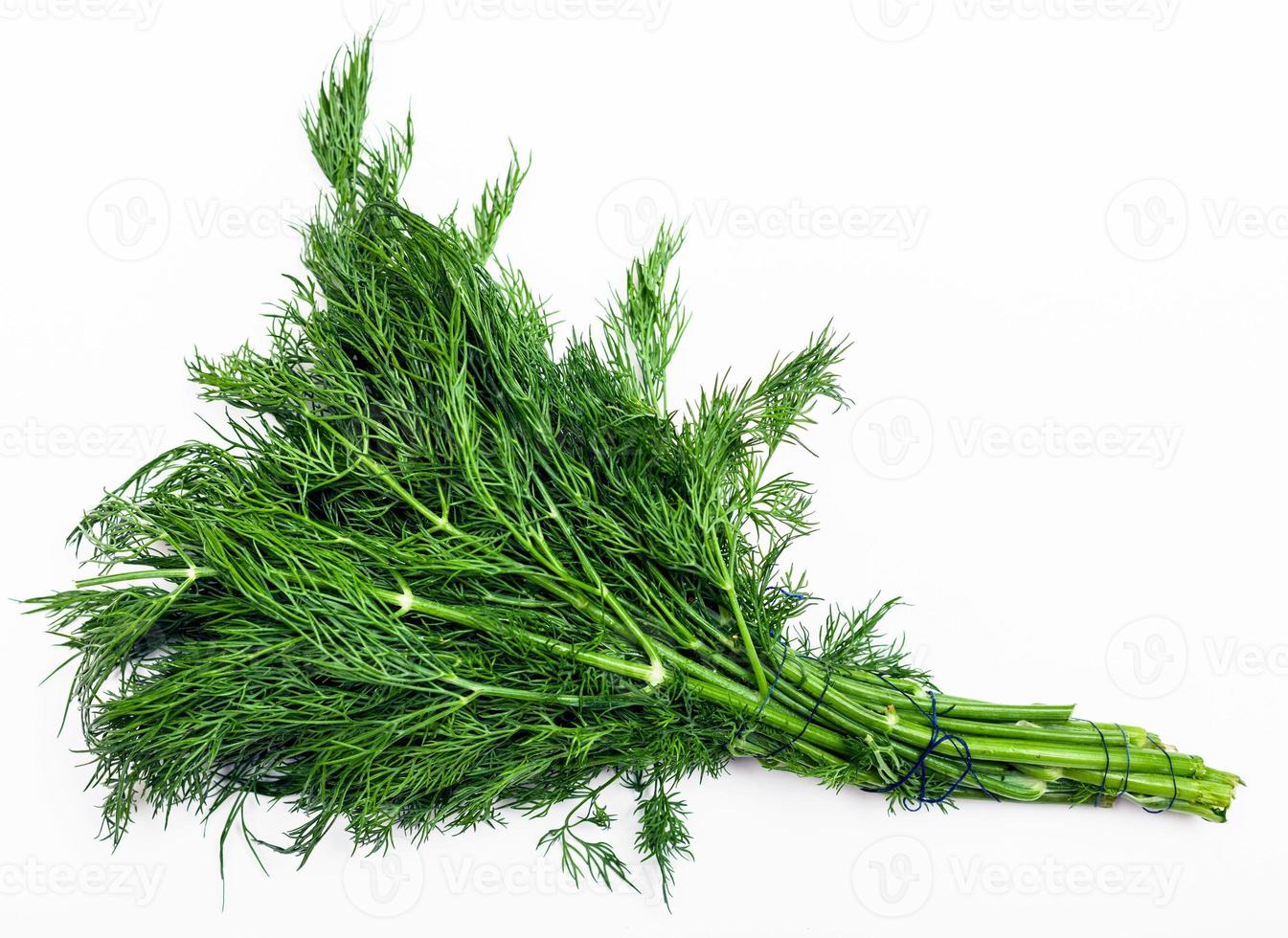 bunch of fresh cut green dill herb on white photo