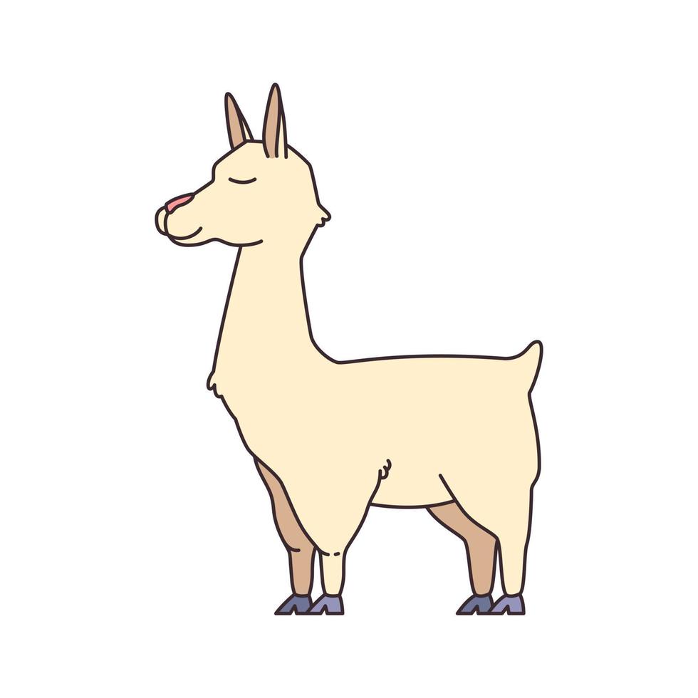 Cartoon cute relaxed llama animal vector illustration