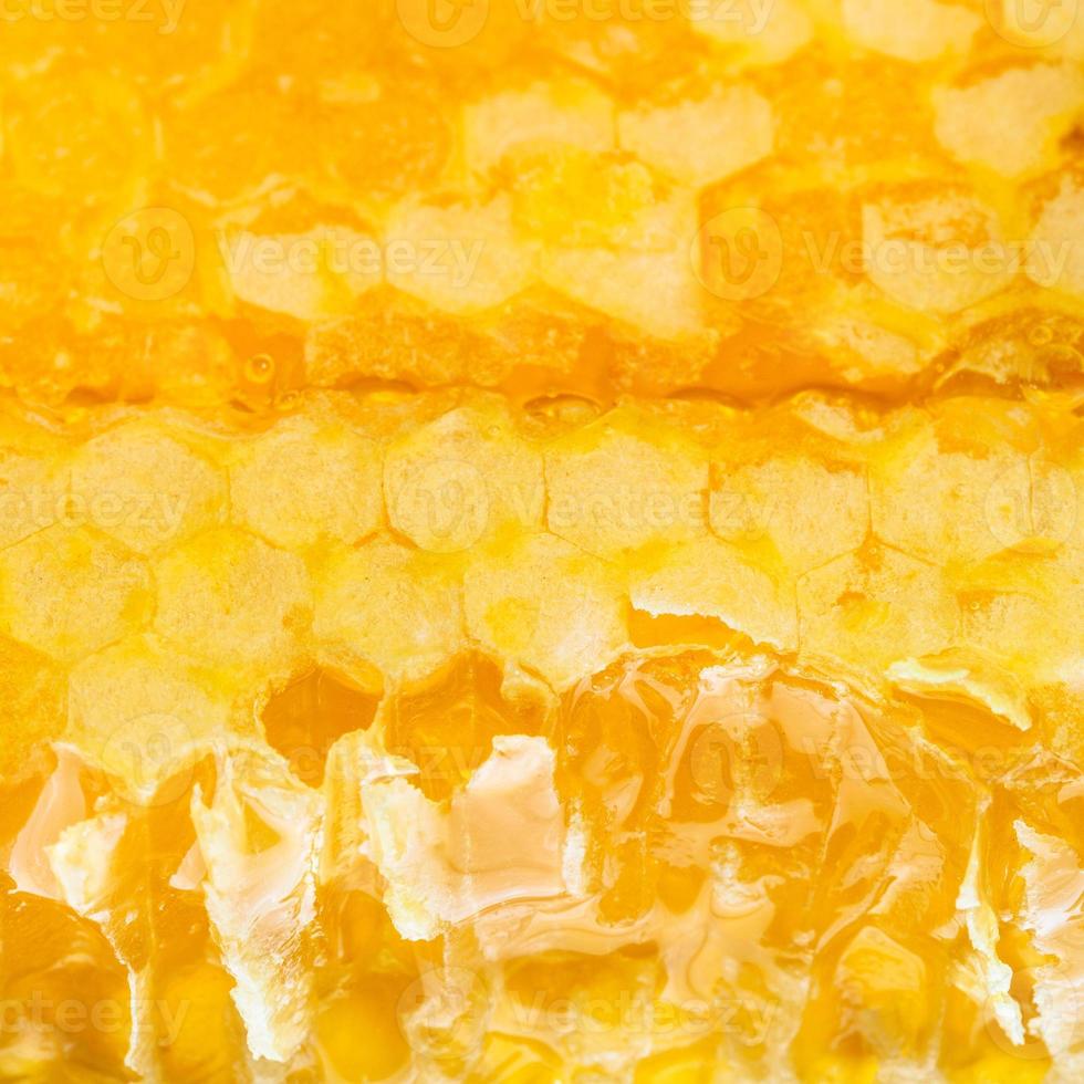 panal de miel amarillo fresco roto foto