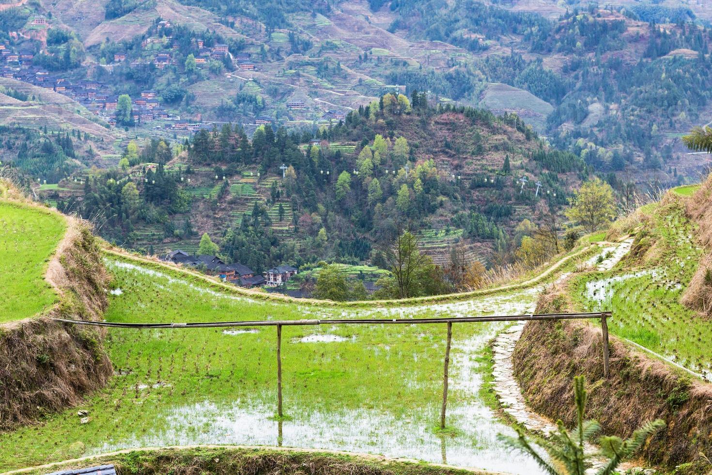 wet rice paddy in Dazhai village in spring photo