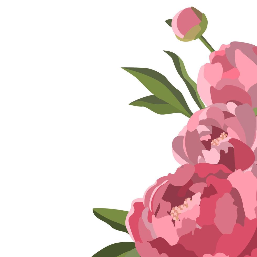 Vector floral background with pink peonies and green leaves