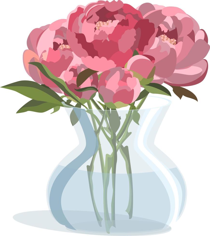 Bunch of pink peonies in round glass vase with water. Isolated on white background vector