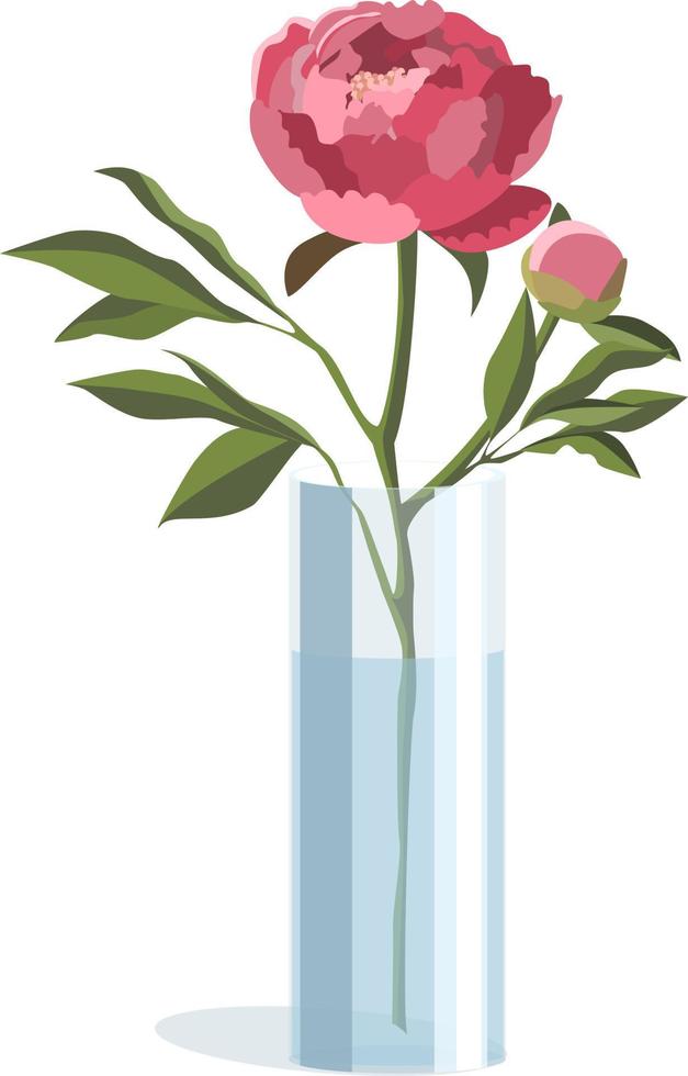 Single pink peony in cylindrical vase in light flat style, isolated on white background vector