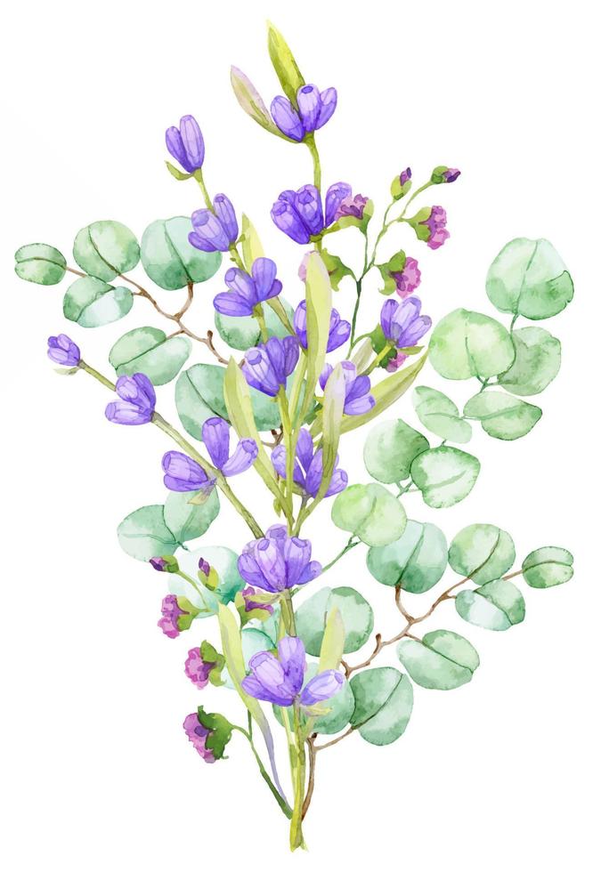 A bouquet of green eucalyptus leaves and lilac lavender. Watercolor illustration Hand drawn eucalyptus branch with lavender flowers vector