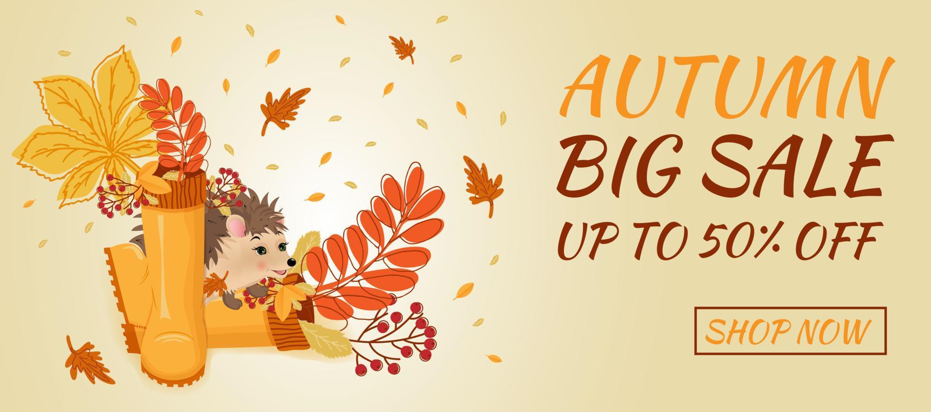 Autumn sale banner. Hello autumn. Rubber boots with autumn leaves and rowan berries branch, hedgehog. vector