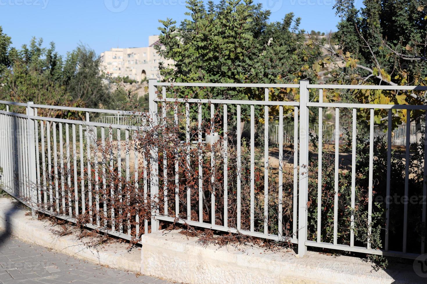 Fence in the city park on the shores of the Mediterranean Sea. photo