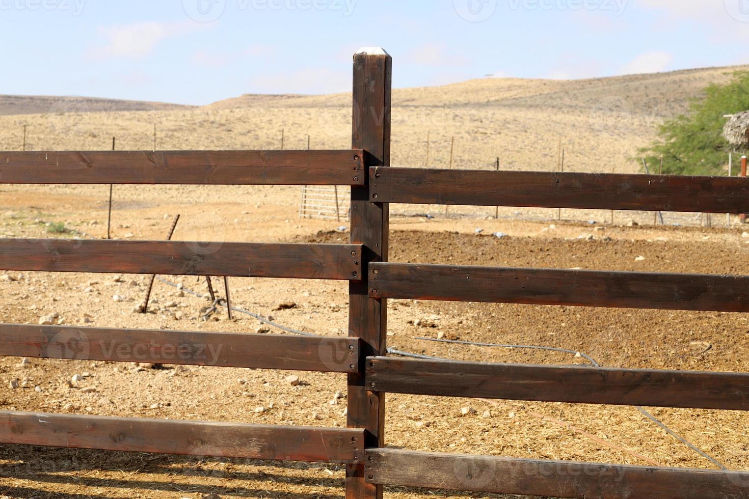 Fence in the city park on the shores of the Mediterranean Sea. photo