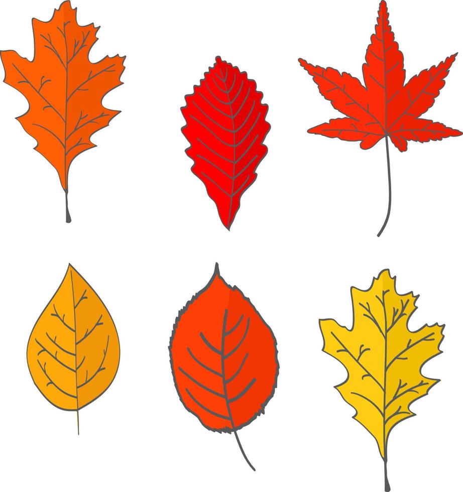 Set of autumn fallen leaves of yellow, red color. In flat style a vector. A design concept for the websites.Isolated on a white background.Oak, maple leaves. vector