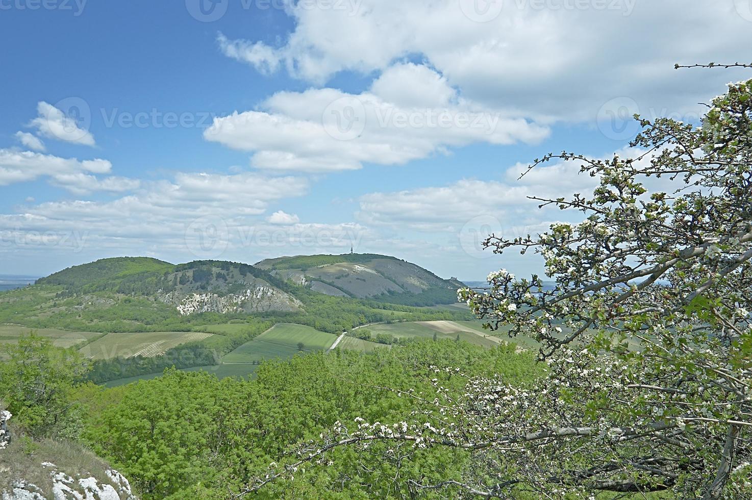 Palava hills landscape photo