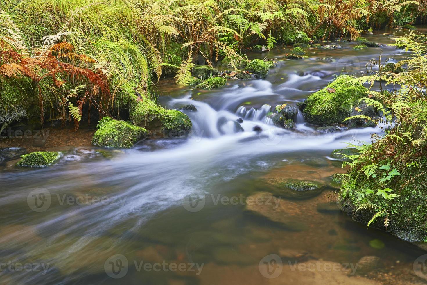 arroyo y río de otoño foto