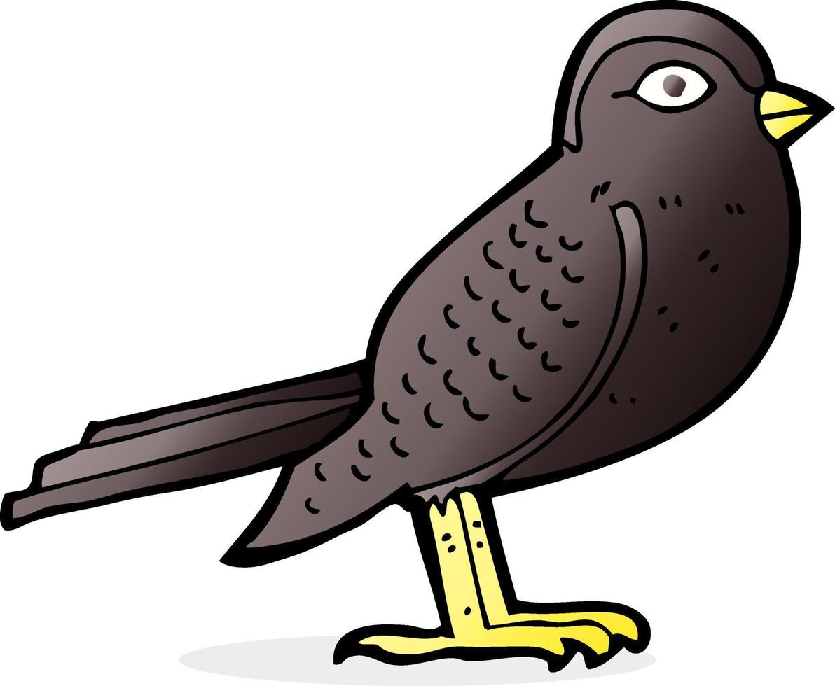 cartoon garden bird vector