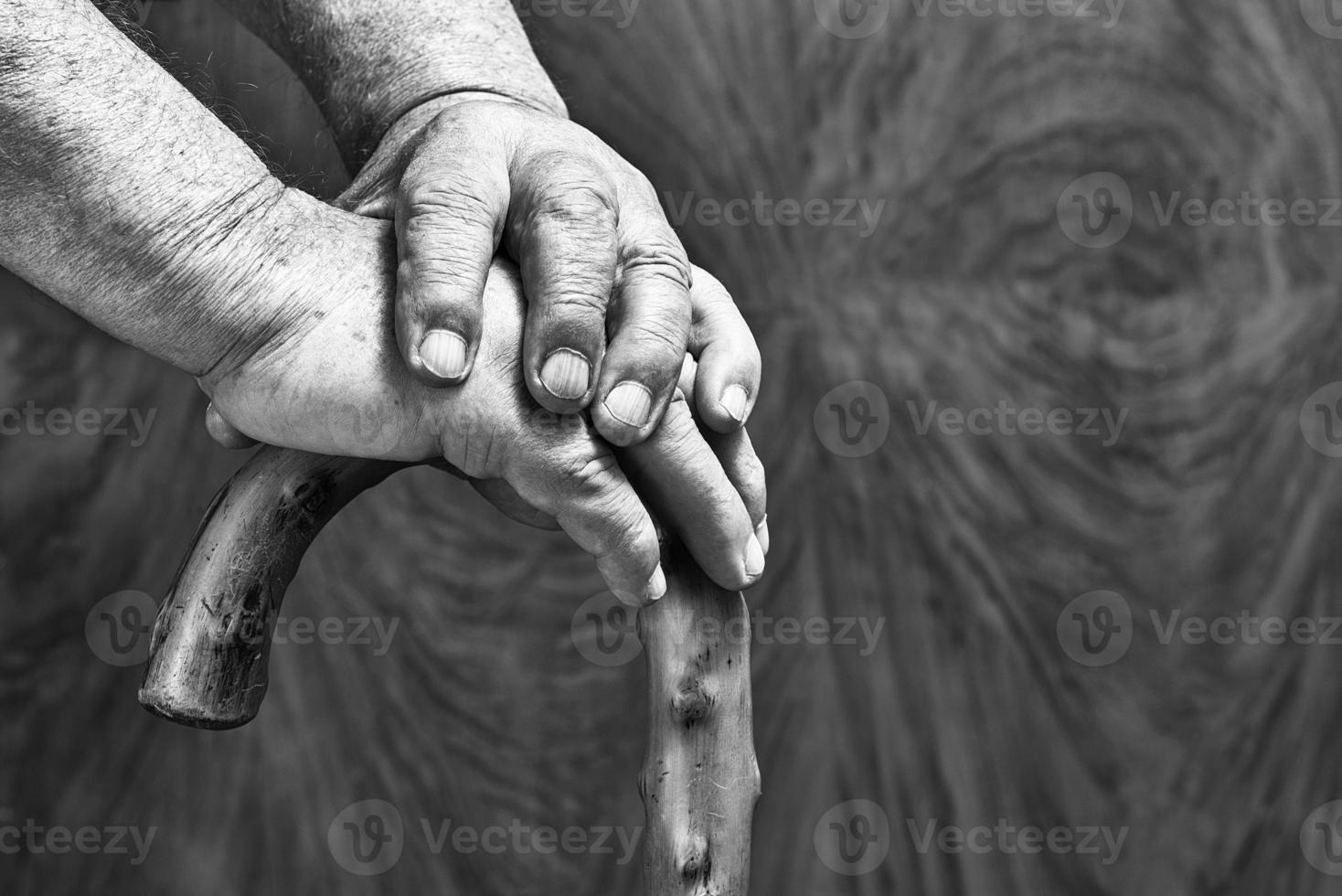 Hands and stick photo