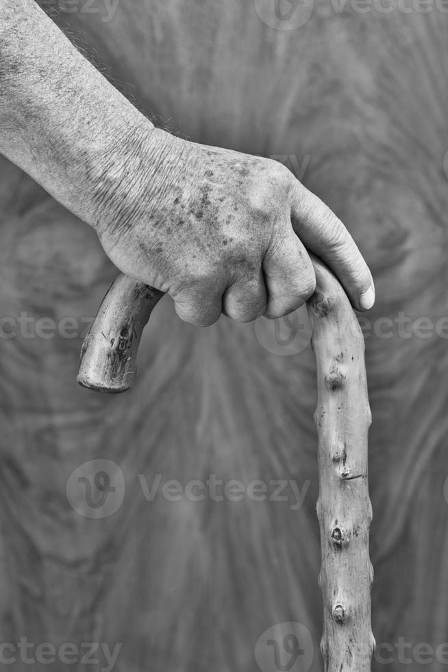 Hands and stick photo