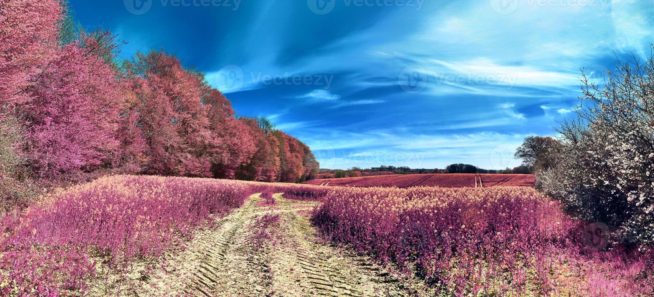 Beautiful and colorful fantasy landscape in an asian purple infrared style photo