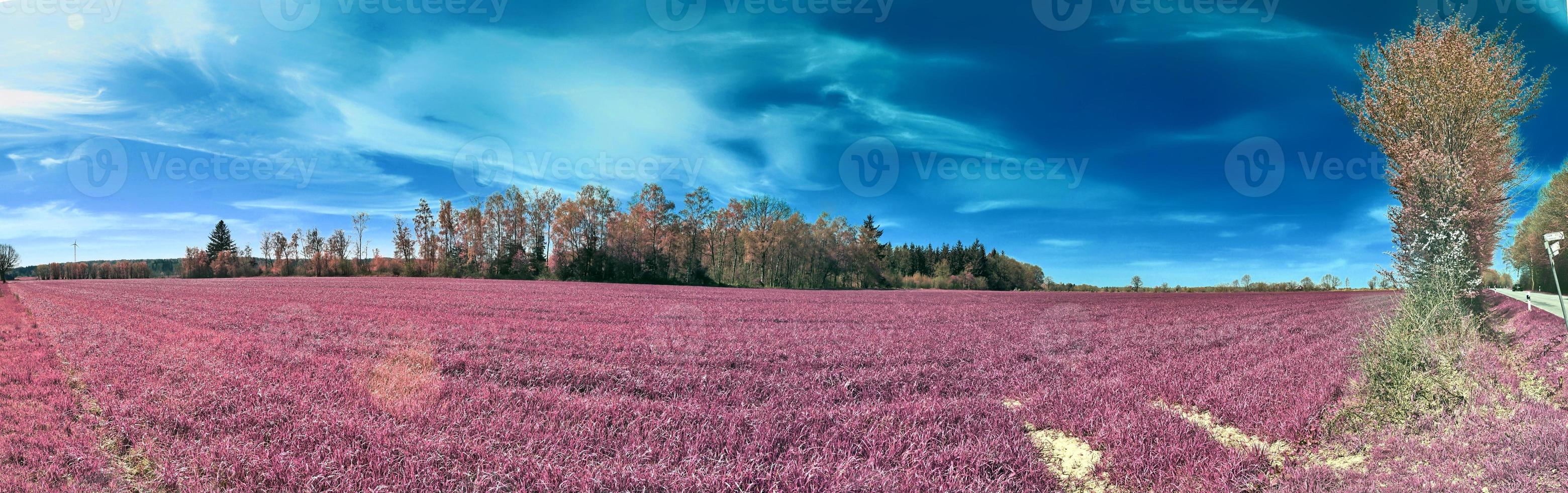 hermoso y colorido paisaje de fantasía en un estilo infrarrojo púrpura asiático foto