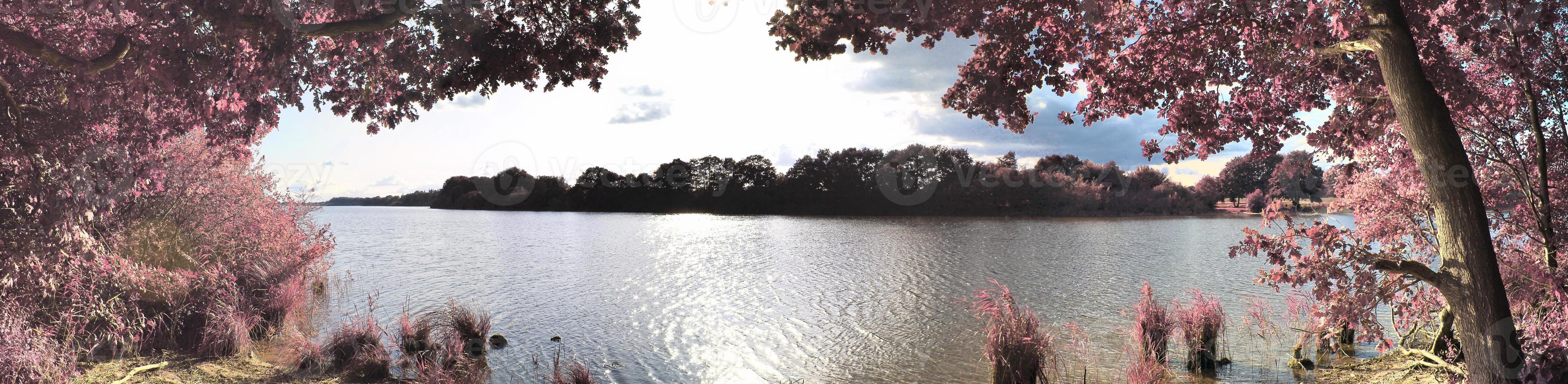 Beautiful and colorful fantasy landscape in an asian purple infrared style photo