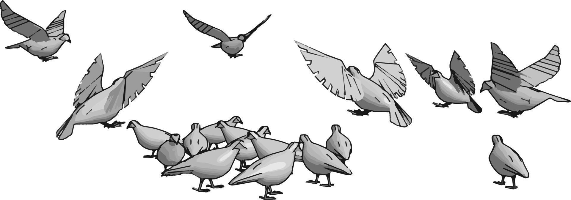 pájaros en el cielo, ilustración, vector sobre fondo blanco.