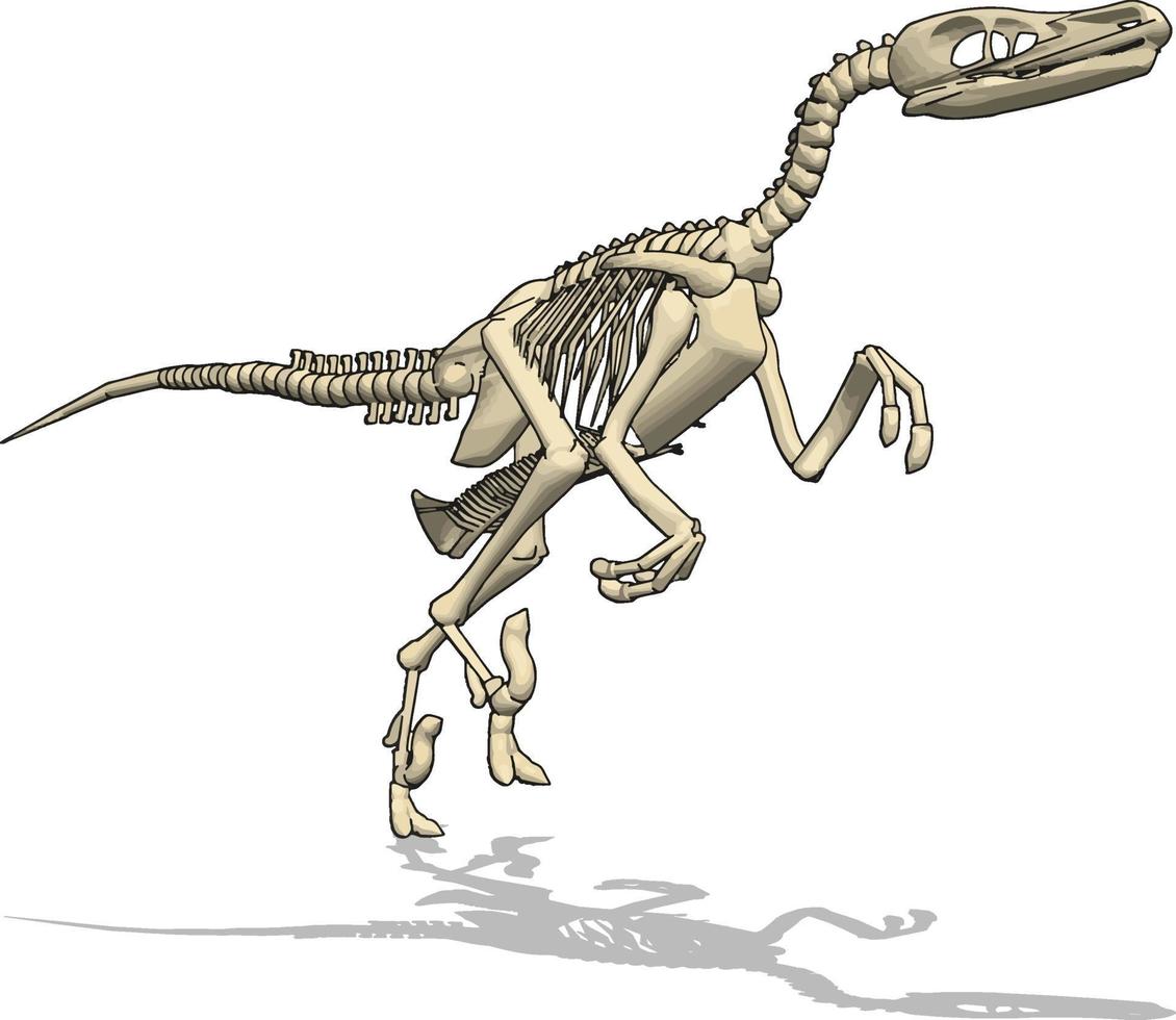 esqueleto de dino, ilustración, vector sobre fondo blanco.
