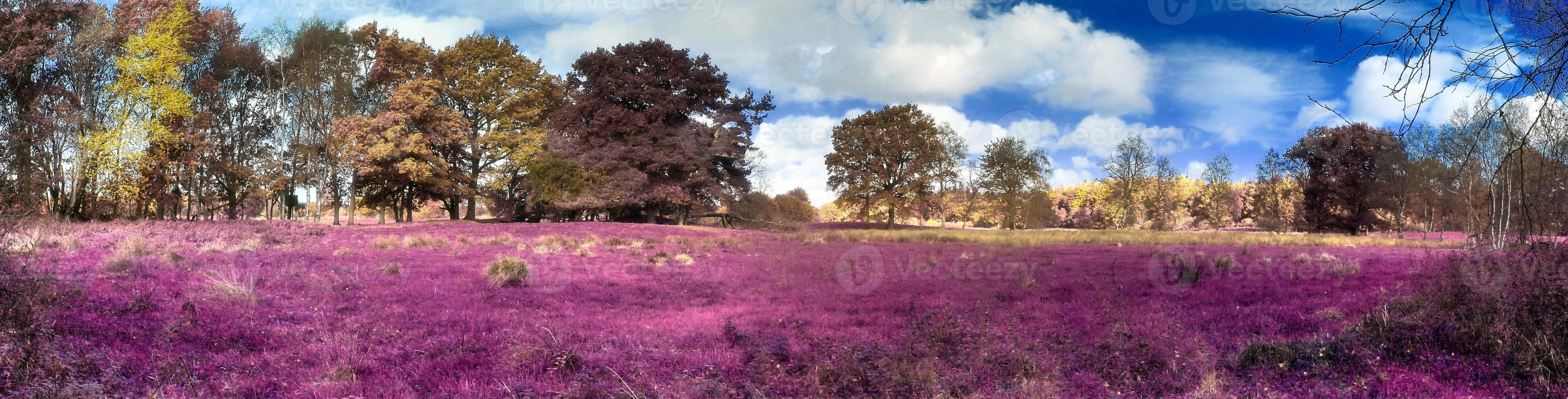 hermoso y colorido paisaje de fantasía en un estilo infrarrojo púrpura asiático foto