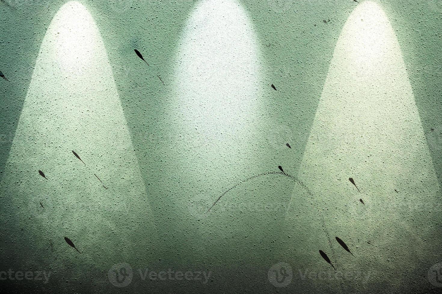 Close up view on concrete wall textures with three spotlights photo