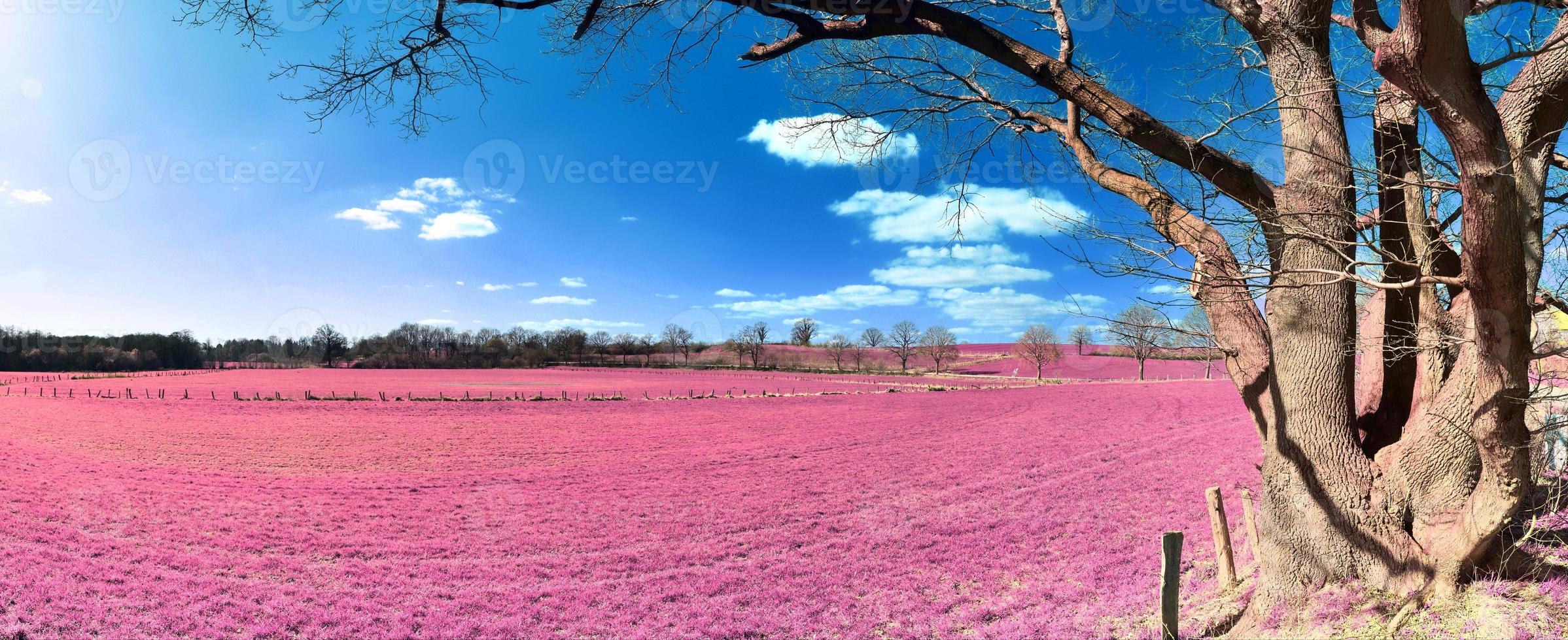 Beautiful and colorful fantasy landscape in an asian purple infrared style photo