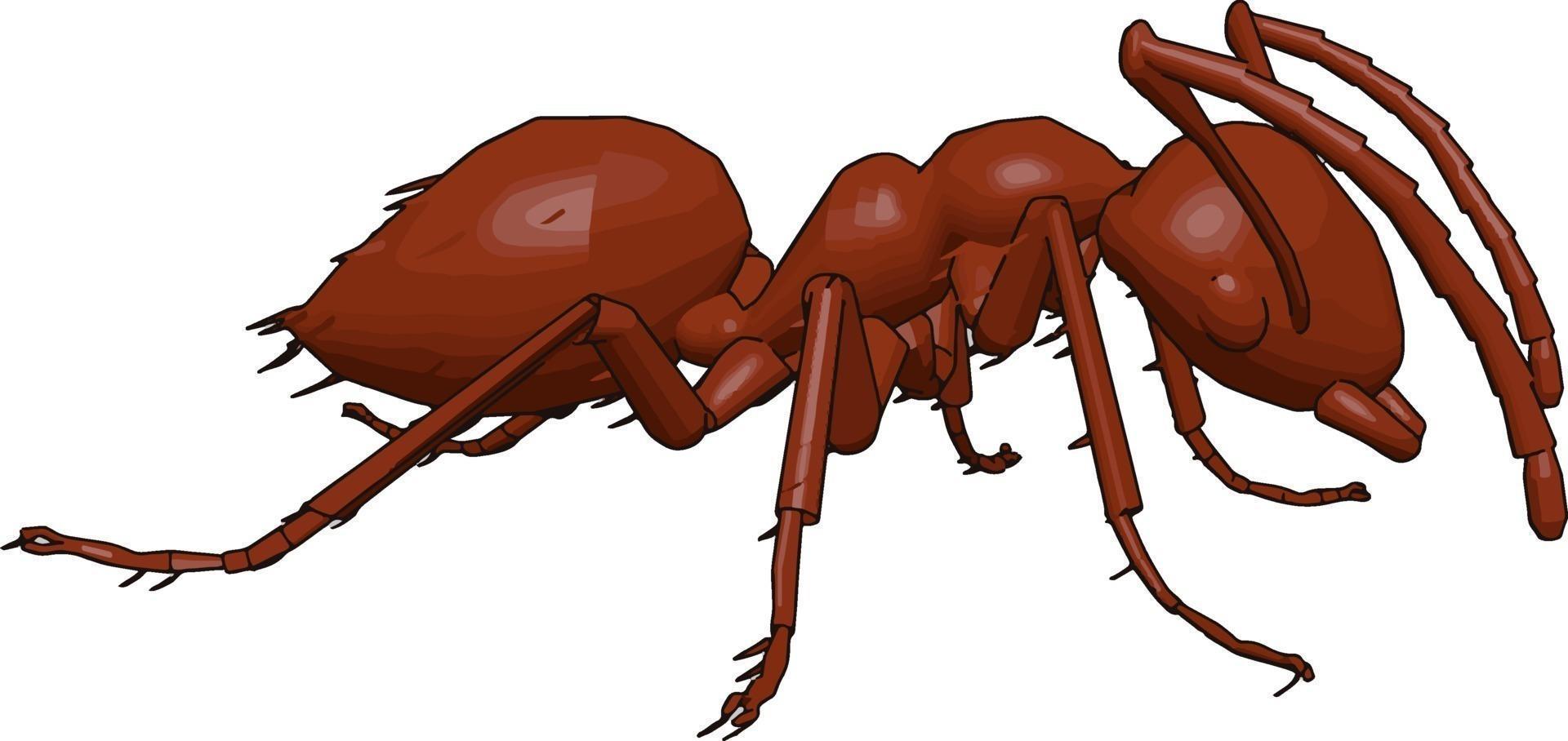 3D red ant, illustration, vector on white background.