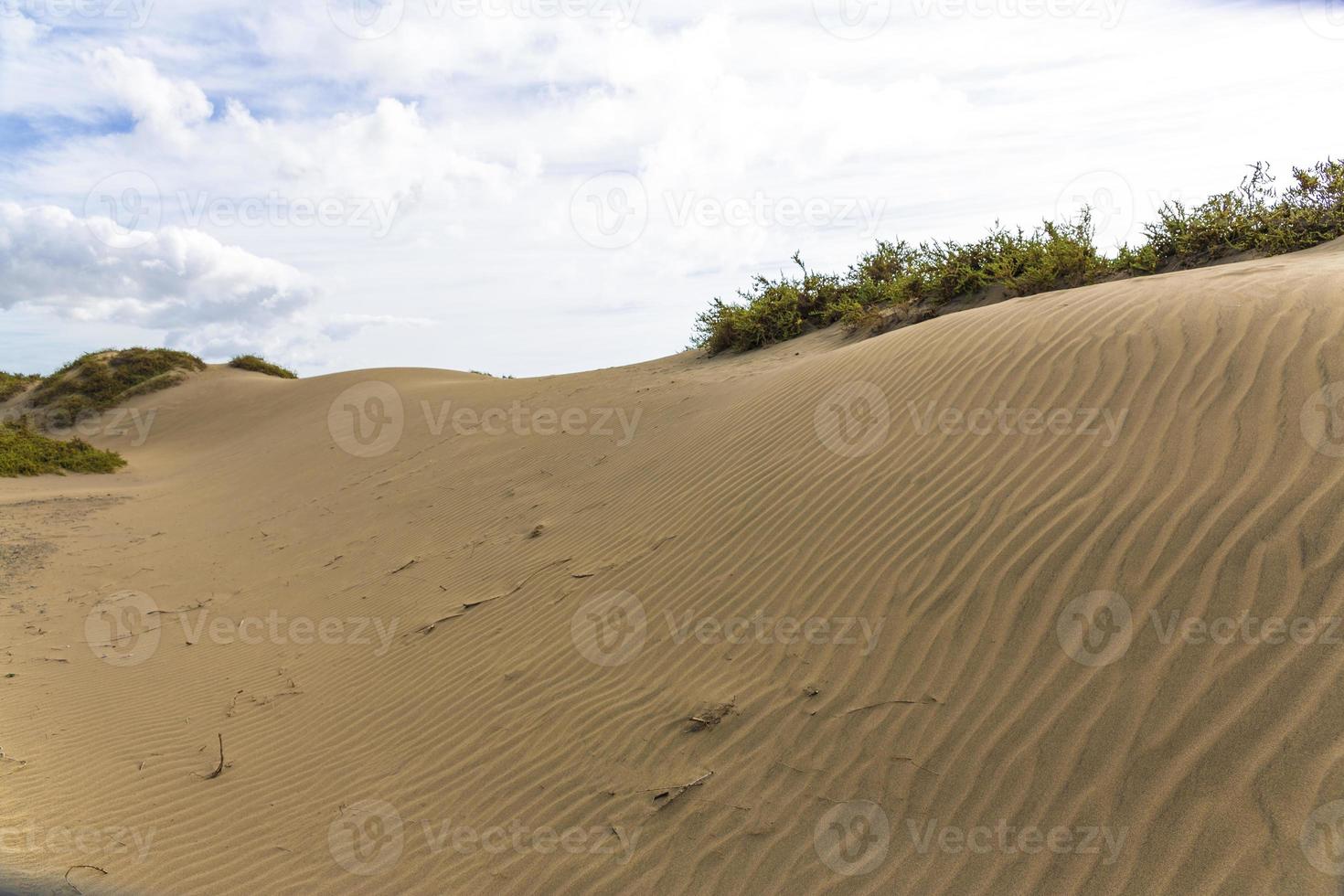 maspalomas duna - desierto en canarias gran canaria foto