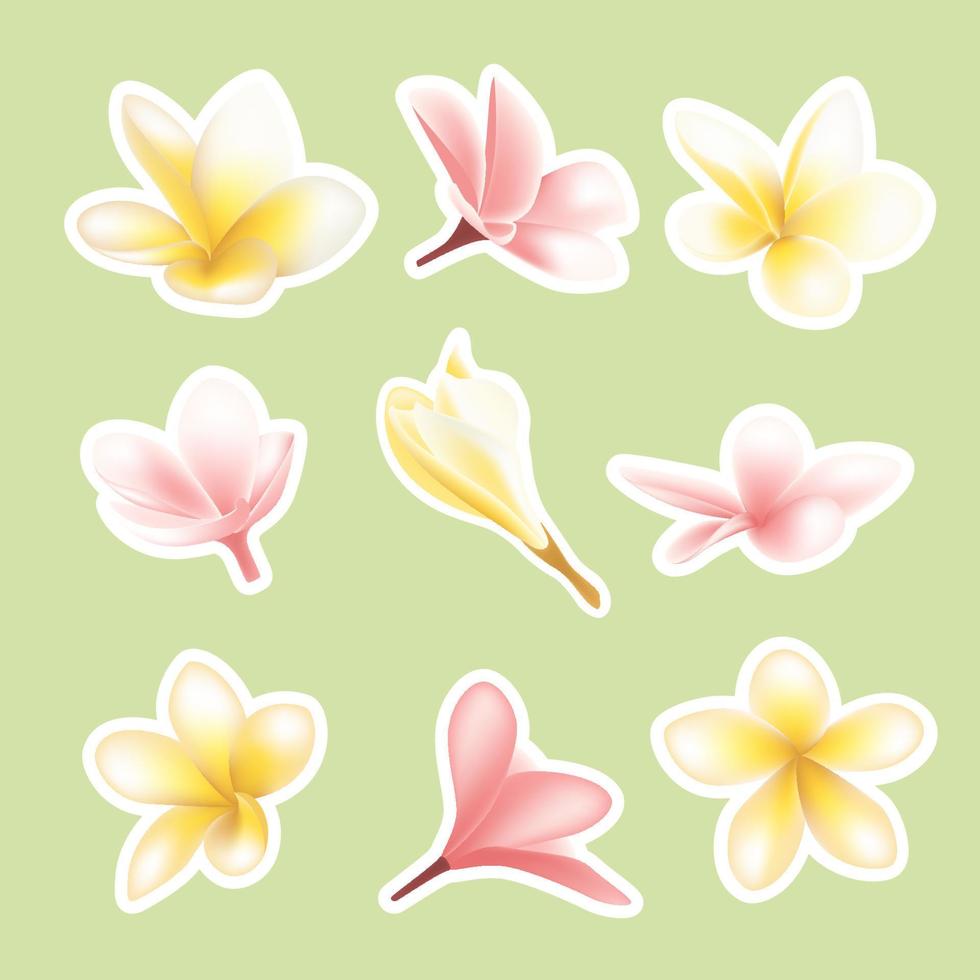 colección de pegatinas de flores de magnolia vector