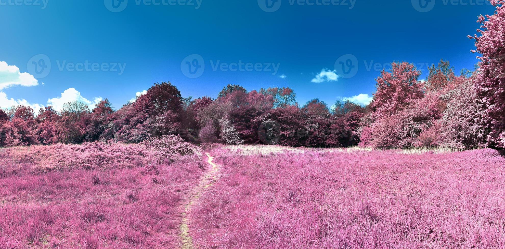 Beautiful and colorful fantasy landscape in an asian purple infrared style photo