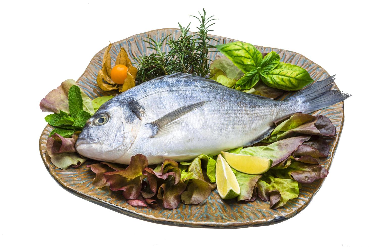 Fresh raw dorada photo